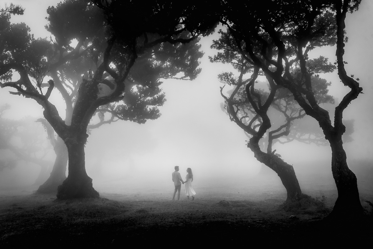Photo taken of a weddin couple in Fanal forest in Madeira Island, a protected Unesco world heritage site